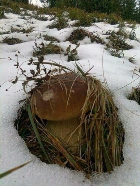 Дом сносили... отношения,позитив,Хохмы-байки