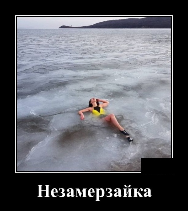 Демотиваторы на 5 февраля