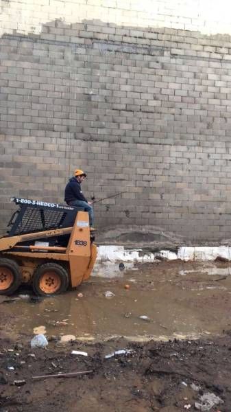 Классные и прикольные фотографии для хорошего настроения и улыбки 