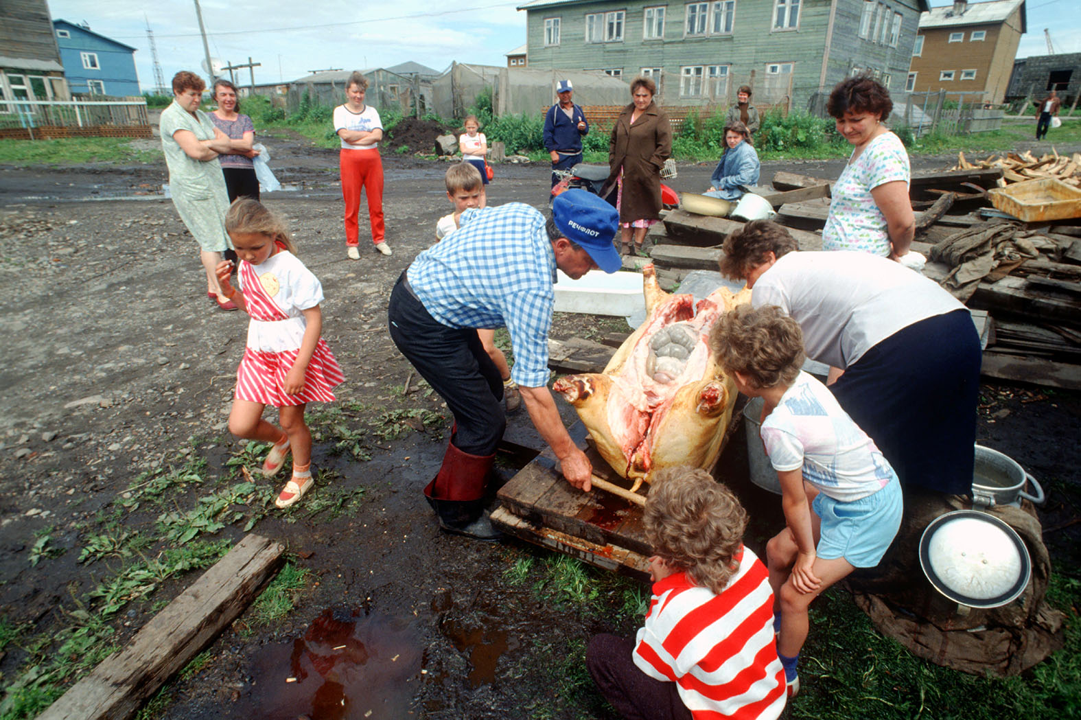Путина нет – земля ничья: Китай ждёт своего часа россия
