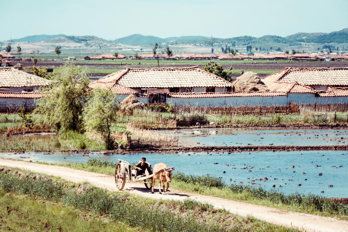 «Чосон» Дениса Давыденко: объективная нереальность из Северной Кореи «Чосон» Дениса Давыденко: объективная нереальность из Северной Кореи