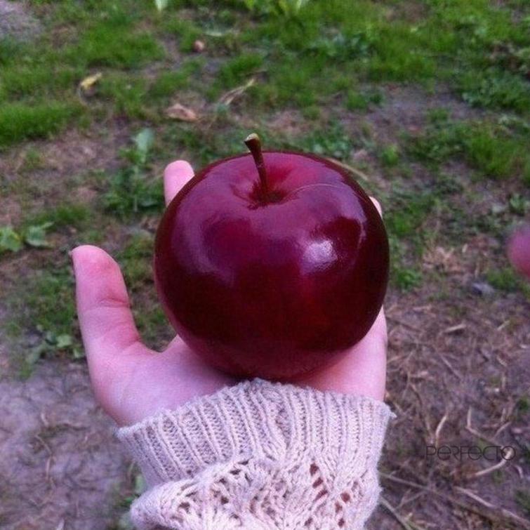 30 снимков, которые которые порадуют вашего внутреннего перфекциониста 