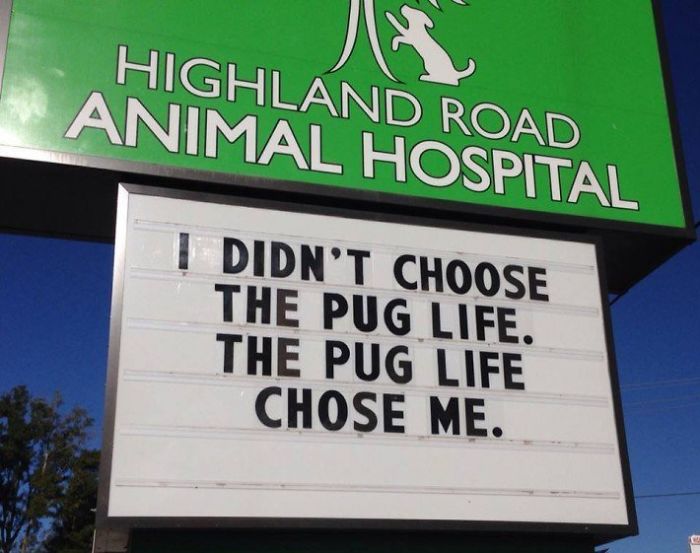 Vet Sign