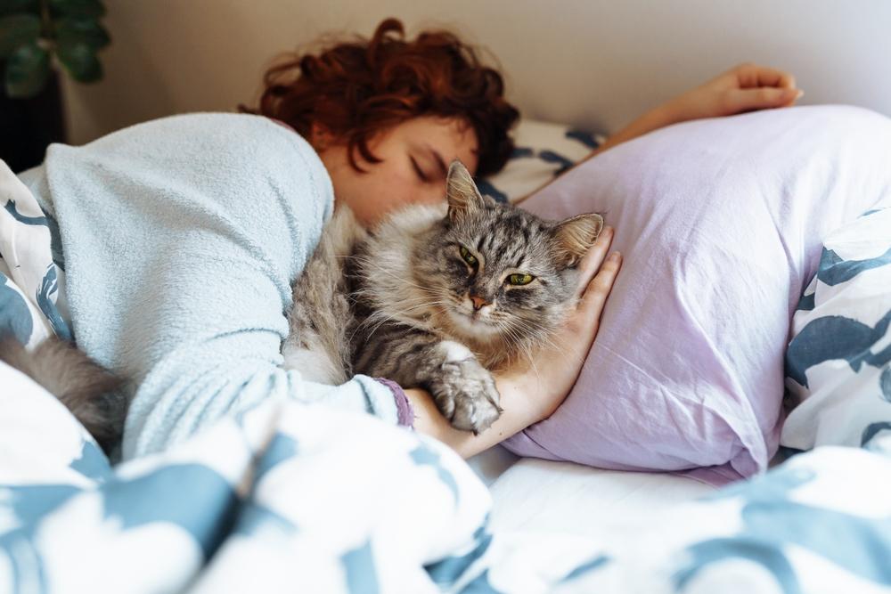 Почему мы не помним свои сны и когда это может быть опасно полезно, после, время, пробуждения, сновидения, вероятность, сразу, REMфазы, запомнить, человек, структуры, несколько, памяти, сновидений, сныфото, которые, сюжет, внимание, также, larisa