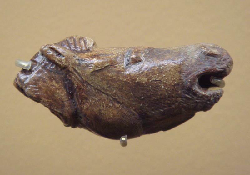 Древние культуры нашей страны: Куйбышевская экспедиция против буржуазных фальсификаторов Древние культуры нашей страны: Куйбышевская экспедиция против буржуазных фальсификаторов история