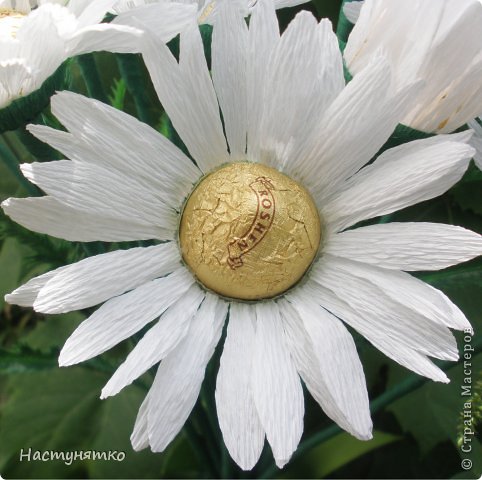 Мастер-класс Свит-дизайн Моделирование конструирование Ромашка МК Бумага гофрированная Клей Продукты пищевые фото 1