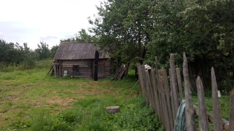 Фото псковских деревень. Деревня рогозки Псковской области. Деревня горожане Псковской области. Оклюже деревня в Псковской области. Захолустье (деревня в Псковской области),.