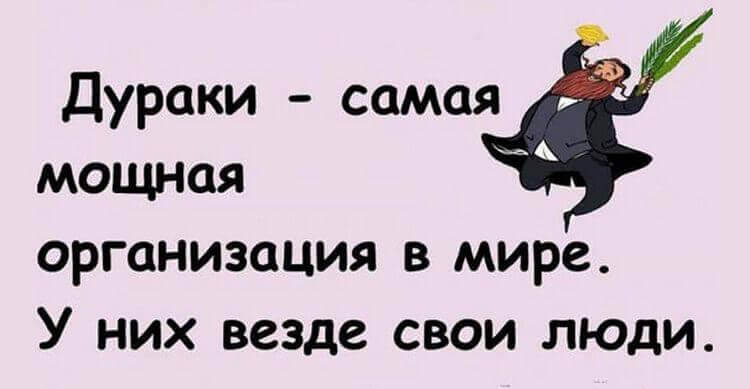 Свежая подборка коротких историй из жизни для хорошего настроения Свежая подборка коротких историй из жизни для хорошего настроения