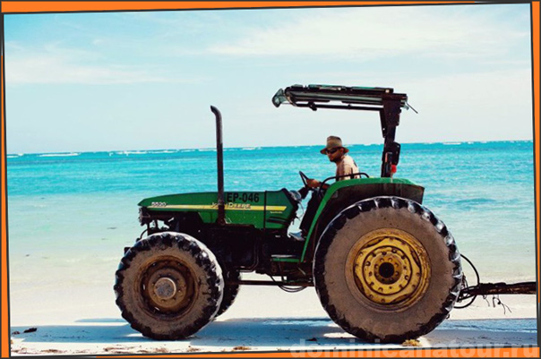 иммиграция доминикана