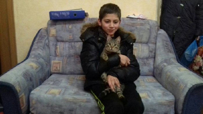 Пропавшему школьнику не дал замерзнуть бродячий кот ynews, волонтеры, кот, поиски детей, полиция, спасение