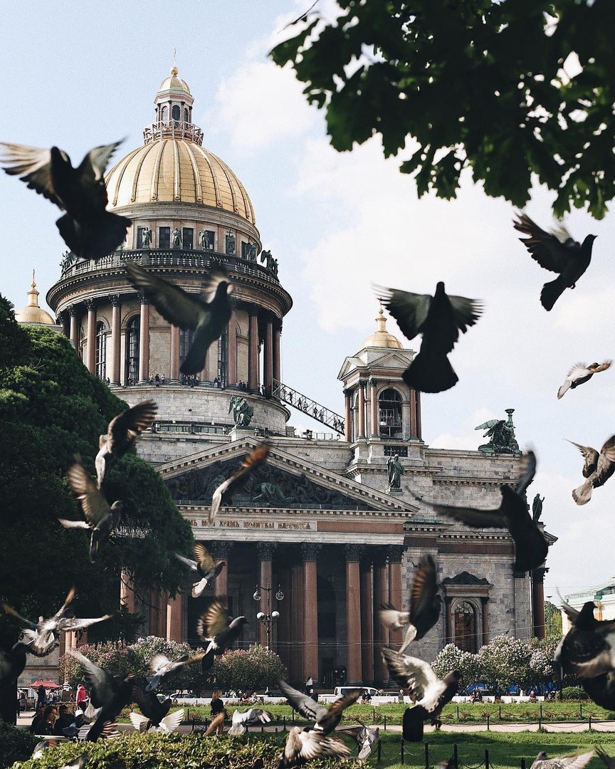 Классные фотографии и забавные картинки из сети красивые фотографии,прикольные картинки,шикарные фотографии