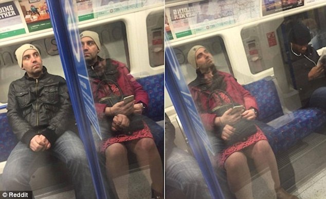 Реальные фотографии или все-таки оптический обман Реальные фотографии или все-таки оптический обман