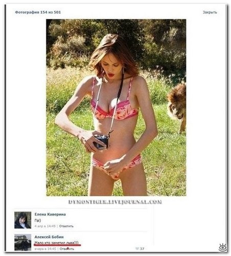 Смешные комментарии из социальных сетей соцсети, юмор