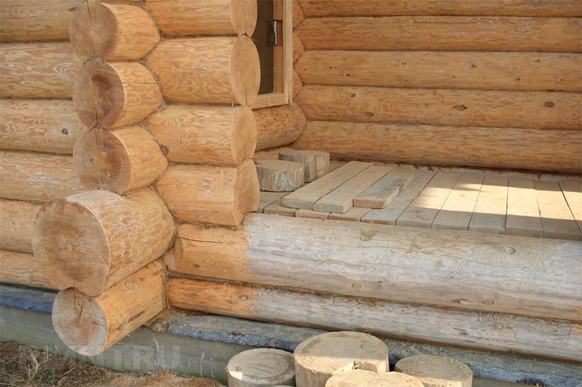 Как выбрать антисептик для древесины