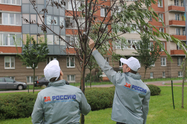 4. Без подписи