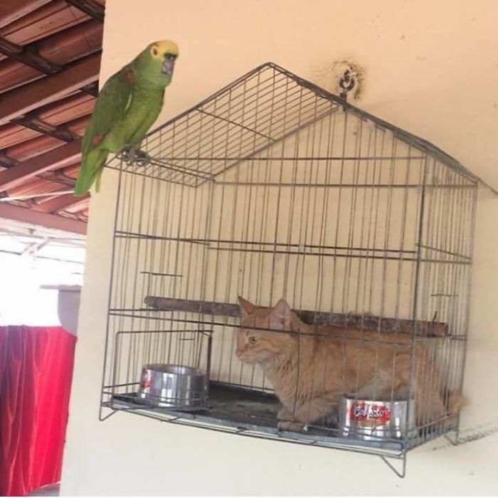 Hmmm