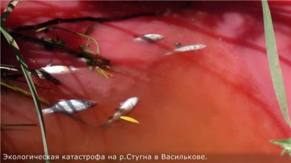 Под Киевом река Стугна стала красного цвета (ФОТО, ВИДЕО) | Продолжение проекта «Русская Весна»