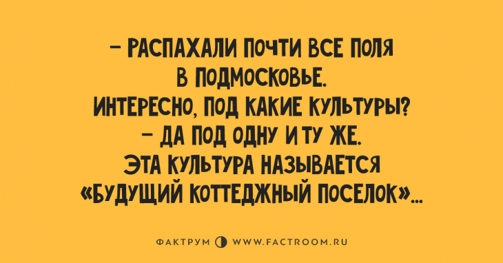 Анекдоты, заряжающие позитивом на весь день 