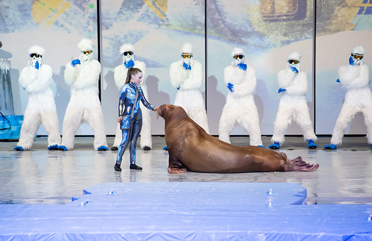 Павел Деревянко с женой и дочерьми, Анастасия Стоцкая и другие на премьере мюзикла с участием животных Павел Деревянко с женой и дочерьми, Анастасия Стоцкая и другие на премьере мюзикла с участием животных Звезды,Новости о звездах