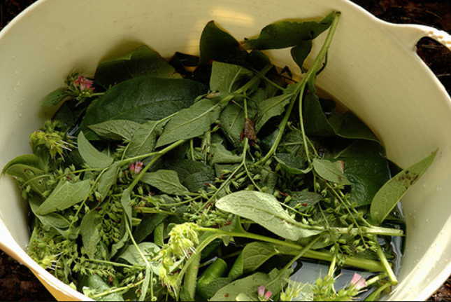 Опасный остеохондроз: какие лекарства и народные средства помогут исцелиться