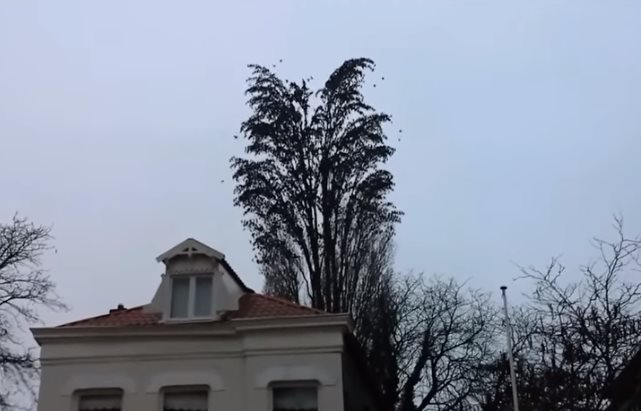 На 18 секунде случится нечто ошеломляющее! Готовы увидеть? На 18 секунде случится нечто ошеломляющее! Готовы увидеть?