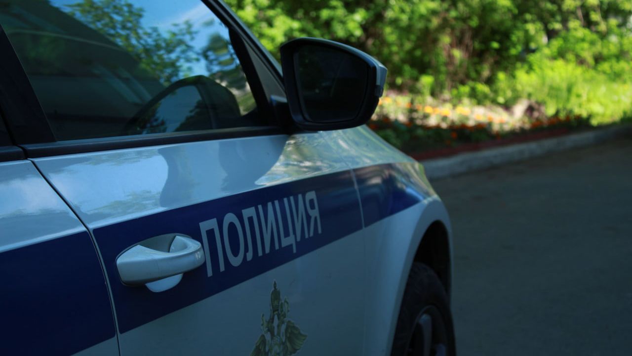 Жительницу Ленобласти обвинили в домогательствах несовершеннолетнего сына