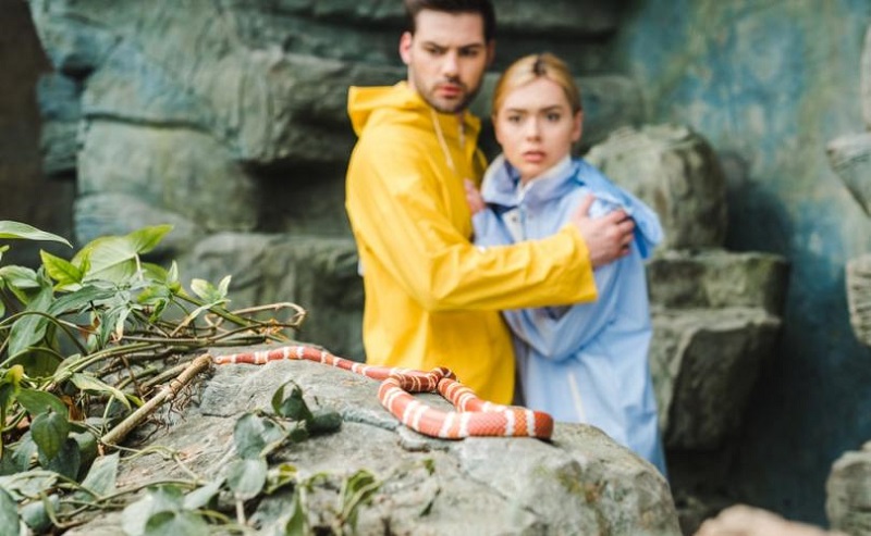 Популярные стереотипы о женщинах Популярные стереотипы о женщинах девушки