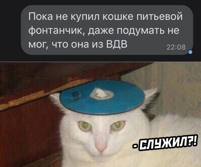 Подборка картинок. Вечерний выпуск 