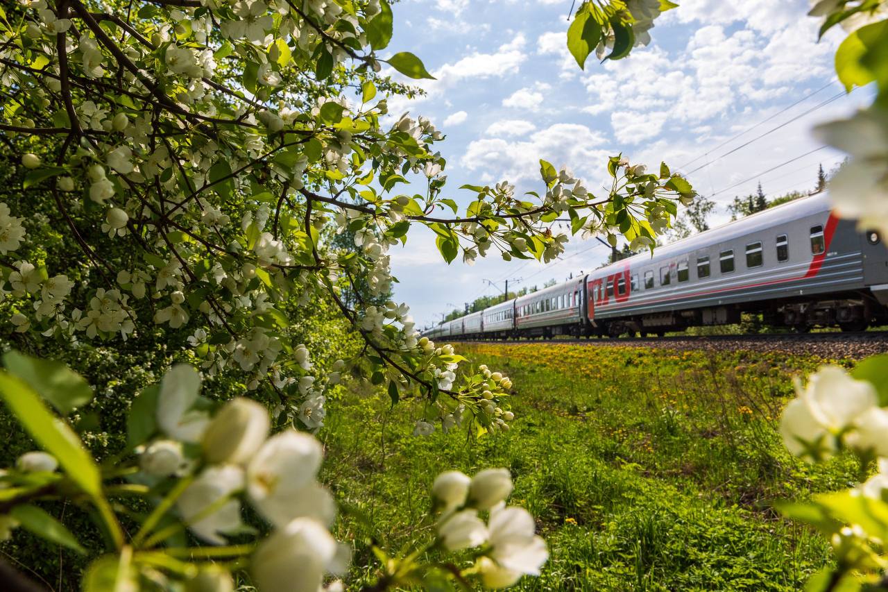 В РЖД назвали количество перевезенных пассажиров на майские праздники