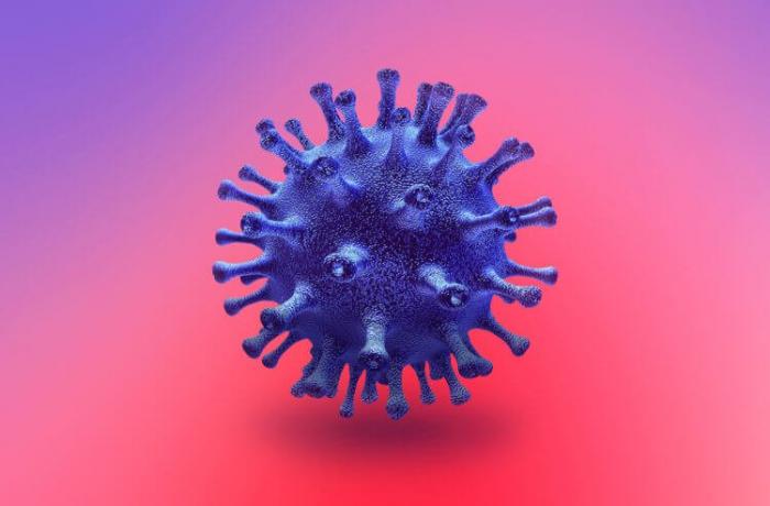 Эволюция болезней: история борьбы с вирусами вирус, вирусы, который, полиомиелитом, которые, вакцины, человека, ученый, только, также, вакцина, ученые, больше, разных, победу, наиболее, других, выводу, бактерии, Ивановский