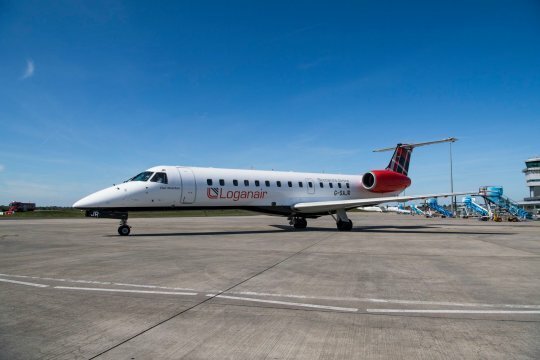 Пилот остановил самолет, чтобы пропустить ежа Пилот остановил самолет, чтобы пропустить ежа ёж,история,путешествие,самолет