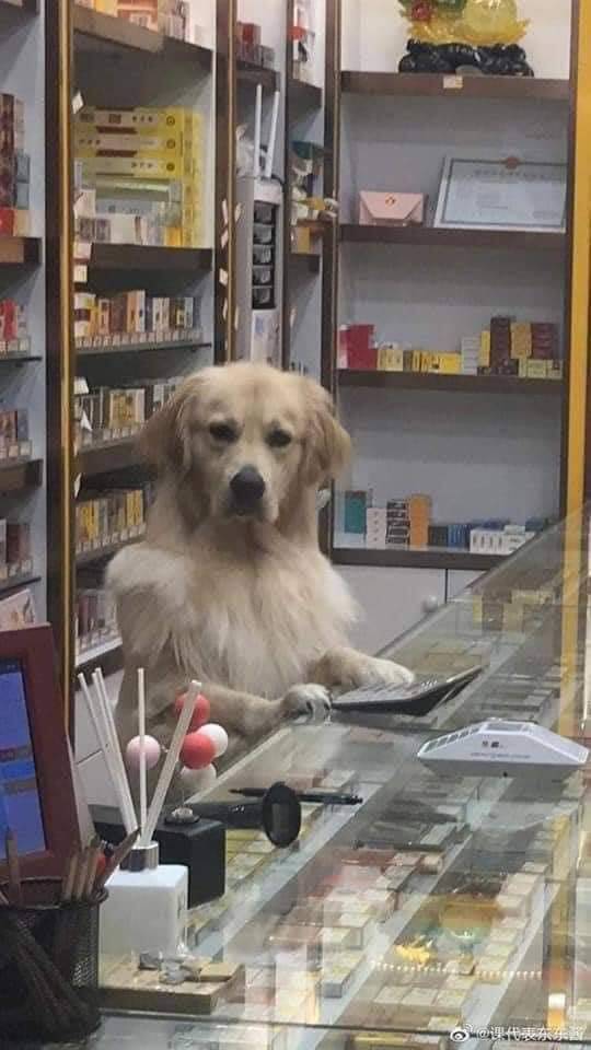 Подборка картинок. Вечерний выпуск Подборка картинок. Вечерний выпуск приколы,смешные картинки,юмор