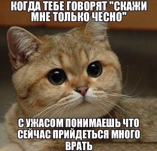 Ржачные и веселые картинки с надписями из нашей жизни Ржачные и веселые картинки с надписями из нашей жизни