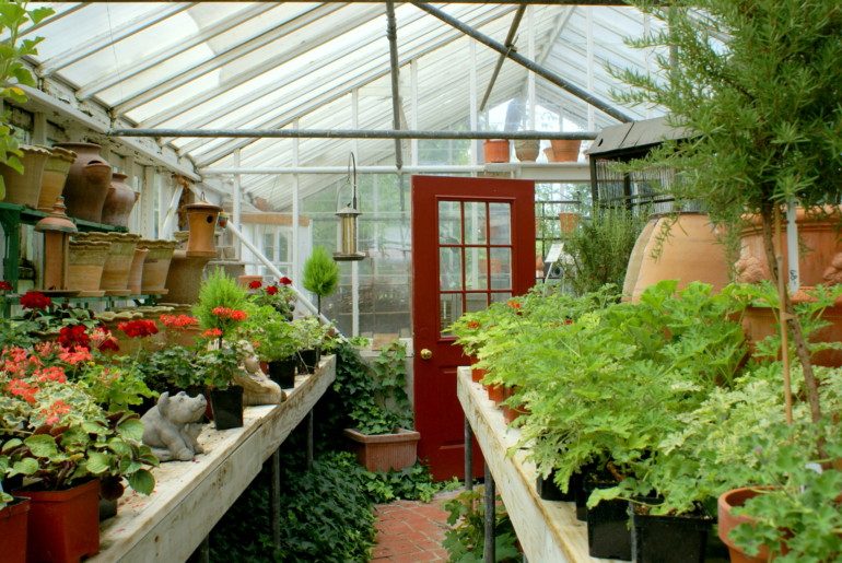 Домашняя оранжерея своими руками для дома и дачи