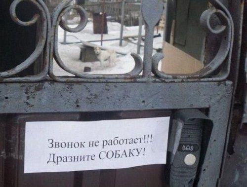 Классные фотоприколы! Классные фотоприколы! смешные картинки