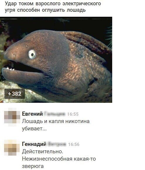 Смешные комментарии и высказывания из социальных сетей высказывания, комментарии, прикол