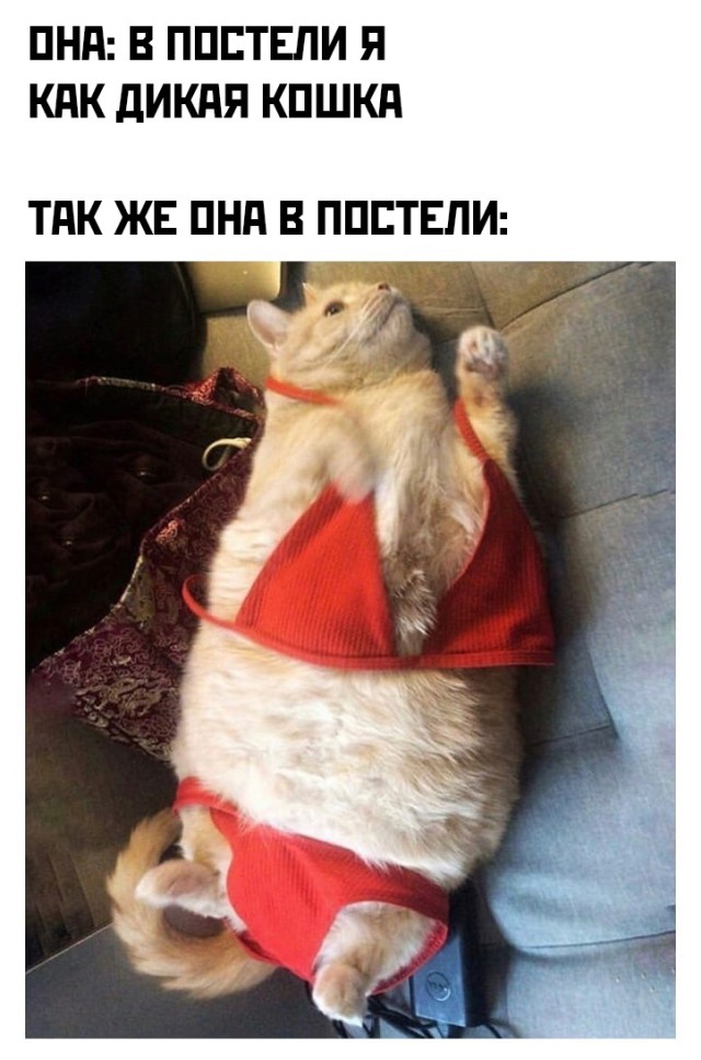 Подборка картинок. Вечерний выпуск Подборка картинок. Вечерний выпуск приколы,смешные картинки,юмор