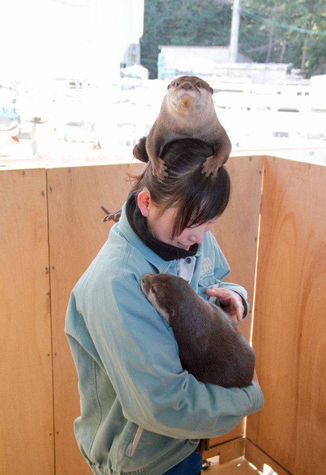 Подборка картинок. Вечерний выпуск Подборка картинок. Вечерний выпуск приколы,смешные картинки,юмор