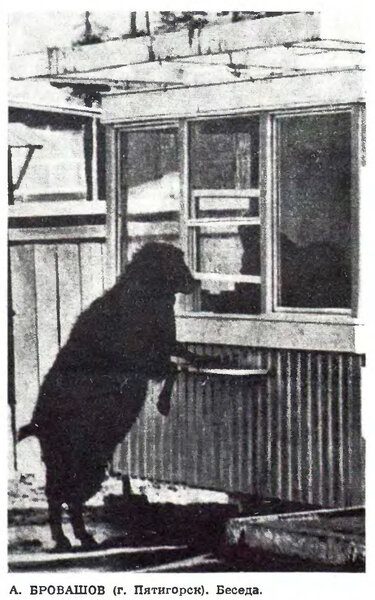 Смешные фото из СССР 