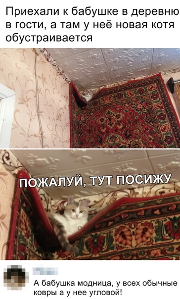 Подборка забавных фотографий и веселых картинок с надписью для позитива Подборка забавных фотографий и веселых картинок с надписью для позитива картинки с надписями,красивые фотографии,прикольные картинки,смешные комментарии,фото приколы,шикарные фотографии