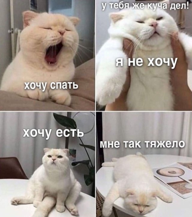 Фотоподборка субботы - 23 Февраля 2019 Фотоподборка субботы - 23 Февраля 2019