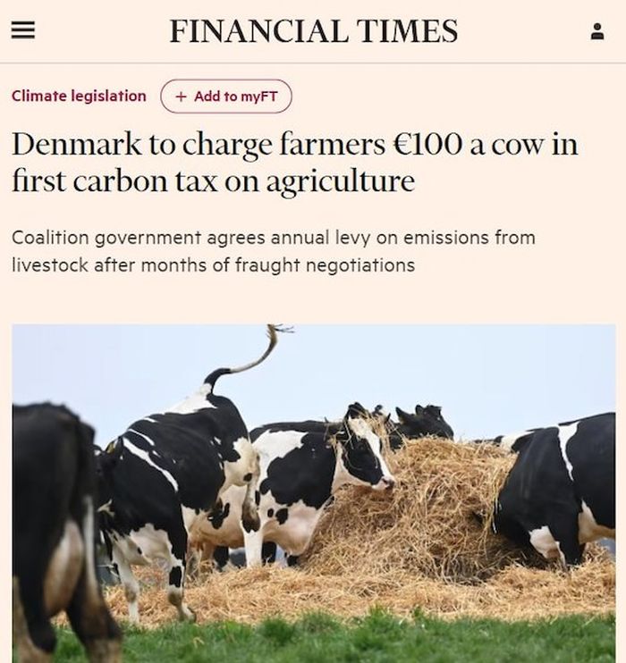 В Дании вводят налог 100 евро за пукающих коров
