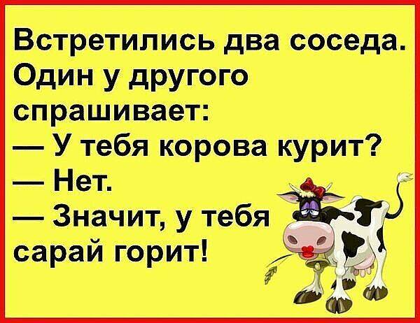 Диалог в студенческой столовой: – У вас есть гуляш?...