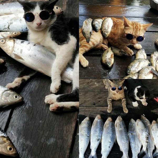 Фотоподборка пятницы Фотоподборка пятницы