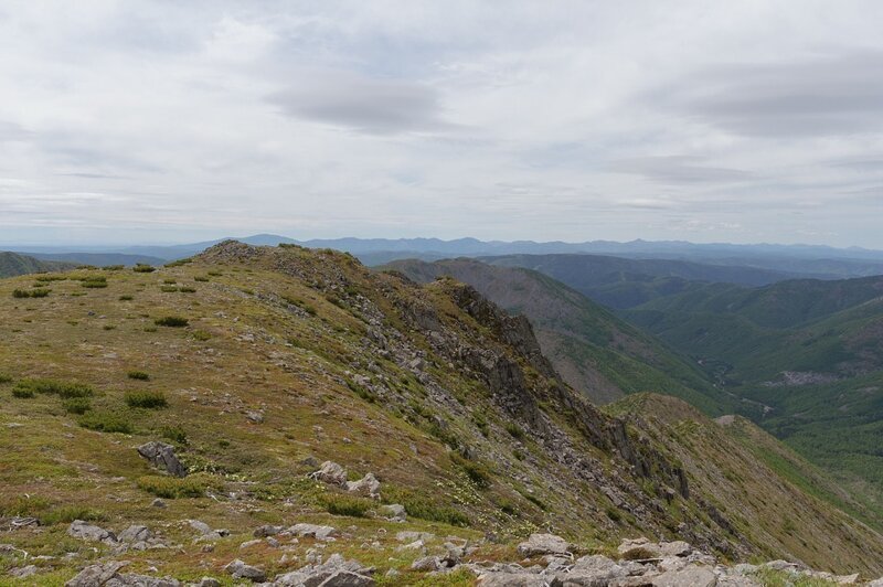 Мартовские законы, которые вновь изменят жизнь россиян Мартовские законы, которые вновь изменят жизнь россиян