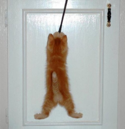 Давайте улыбаться вместе! :) (16 поводов)