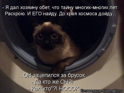 Котоматрица на Бугаге (28 фото)