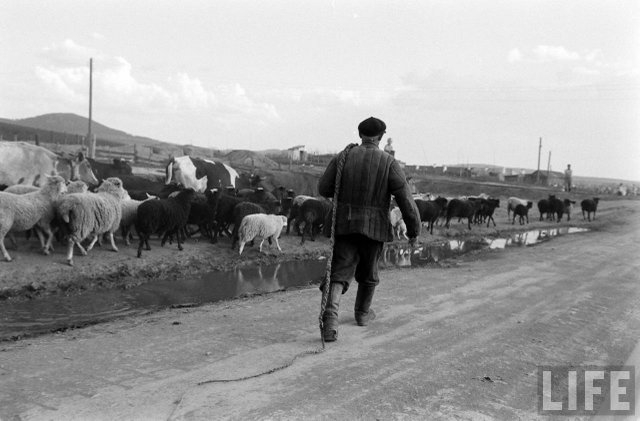 1959 год. Ричард Никсон проехал с визитом по деревням нашей Сибири Дальние дали