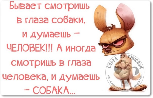 Прикольные картинки с позитивными фразками Прикольные картинки с позитивными фразками