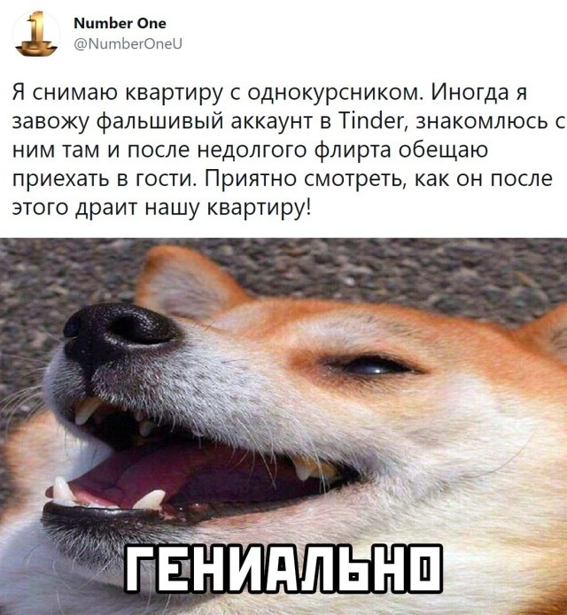 Подборка смешных картинок Подборка смешных картинок приколы,смешные картинки,юмор